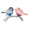 Crystal Expressions 2.75 In Bird On Branch Spring Figurine , Lightweight Multi Seasonal Decor Spring Summer Faceted